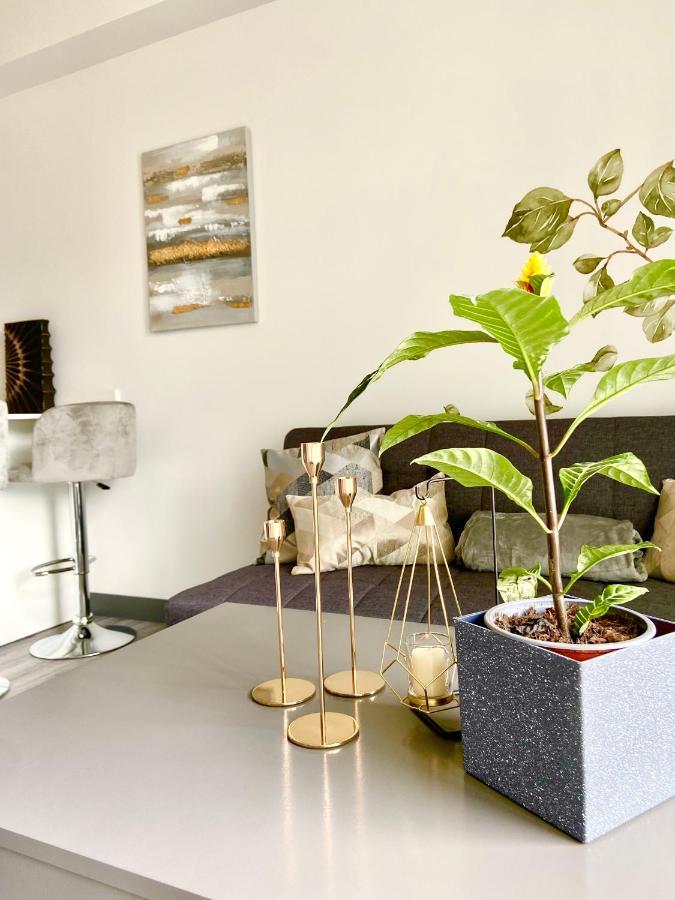 Comodo Y Elegante Apartamento En Fabuloso Condo! ซานโฮเซ ภายนอก รูปภาพ