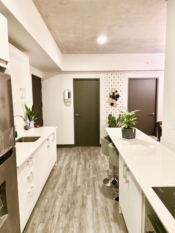 Comodo Y Elegante Apartamento En Fabuloso Condo! ซานโฮเซ ภายนอก รูปภาพ